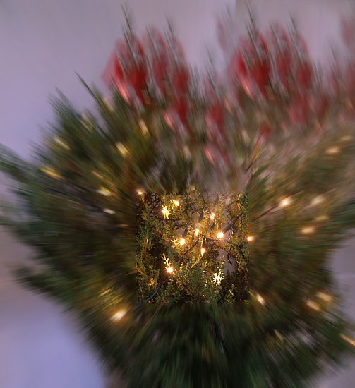PICT1798 small xmas tree.jpg - 190328 Bytes